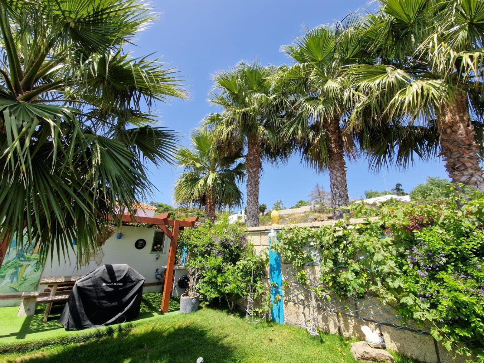 Escape To Finca Conejo, Typical Canarian House Private Jacuzzi, Sauna, Gym, Finca Conejo Taucho By Aqua Vista Tenerife Costa Adeje  Esterno foto